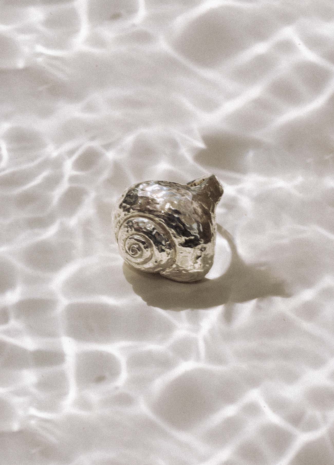 Anillo Caracola Plata - Image 3