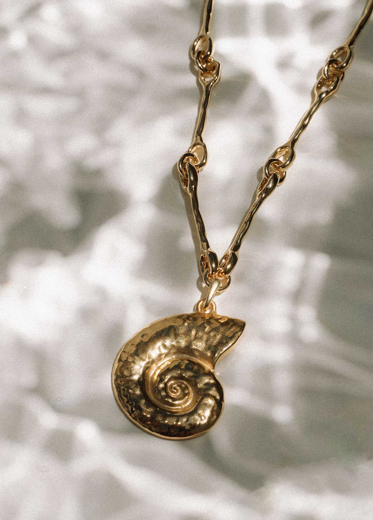 Cadena Nautilus Oro - Image 3